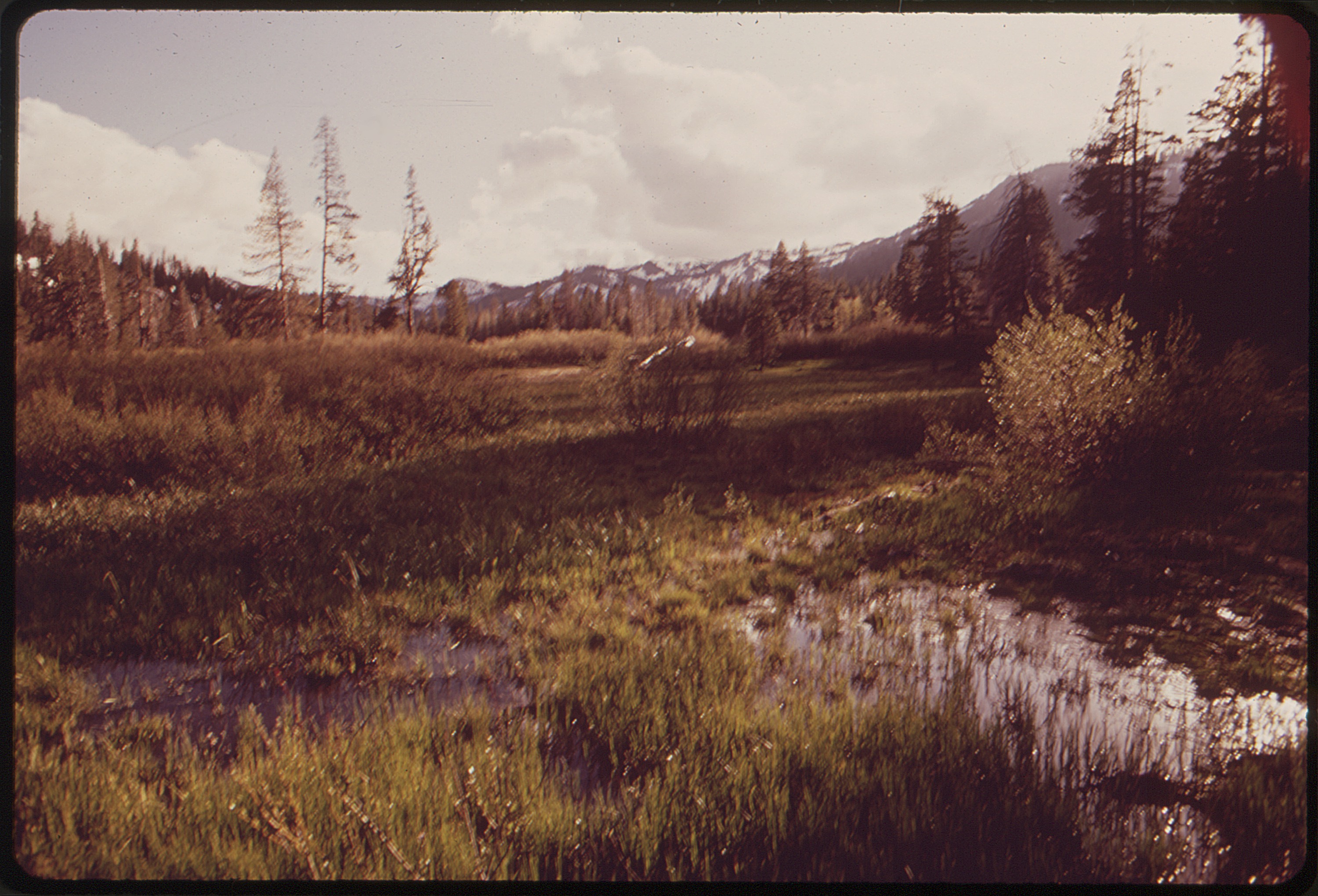 Contexto · el Bosque Nacional de Tahoe (California), zona de Cisco Grove