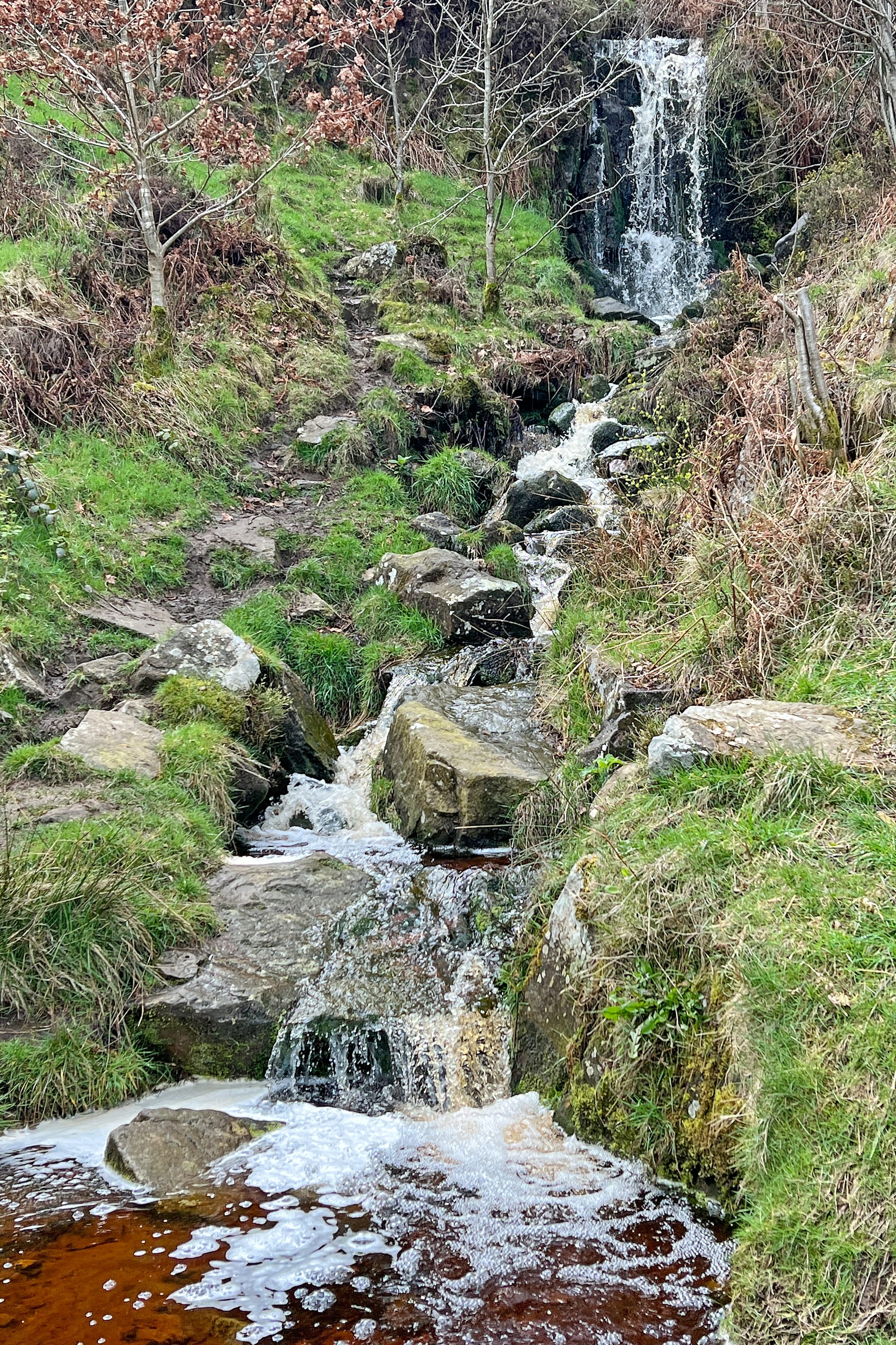 Contexto · Ilkley Moor (West Yorkshire, Inglaterra)