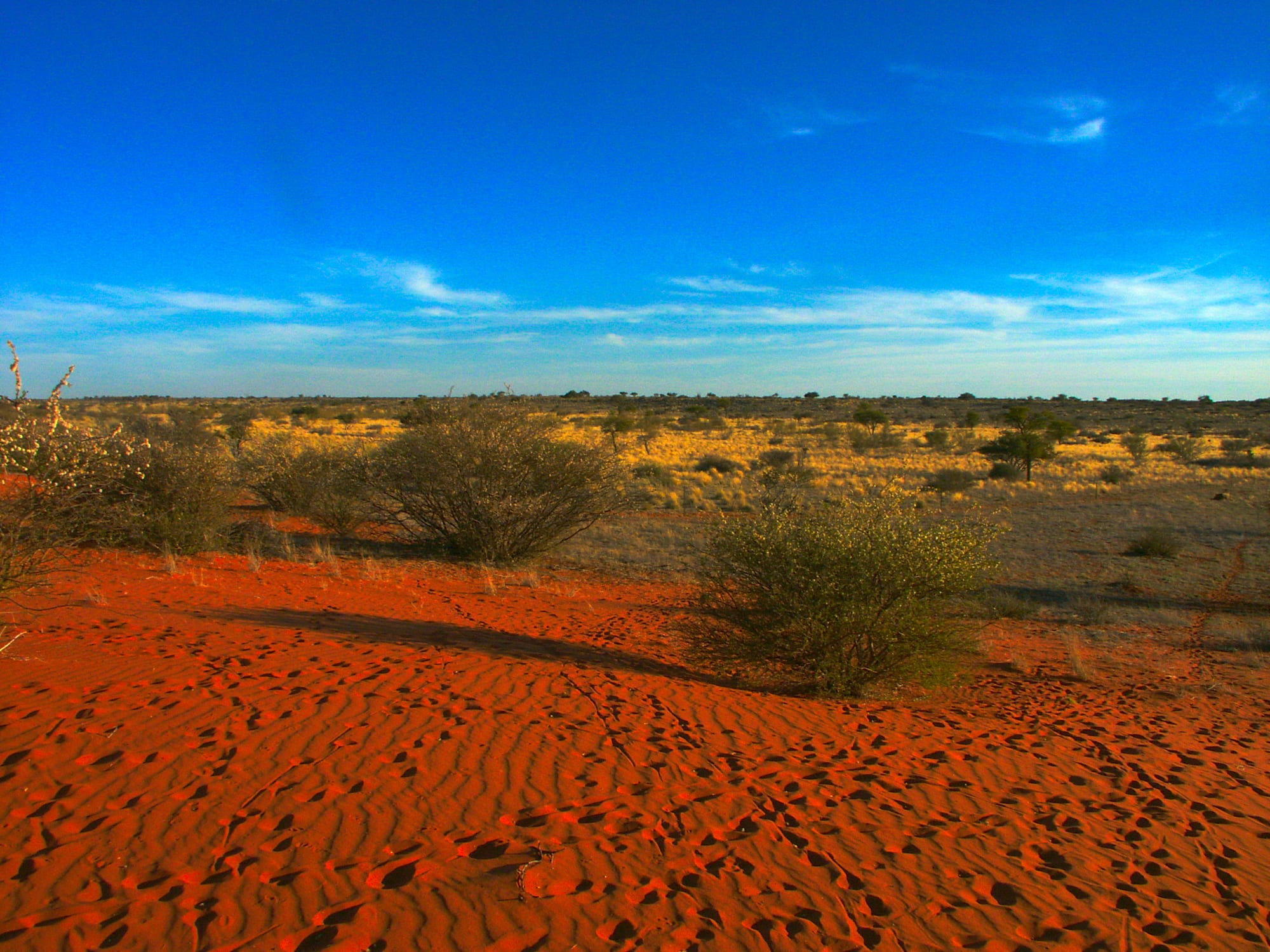 Contexto · el desierto del Kalahari, en la frontera Sudáfrica–Botsuana