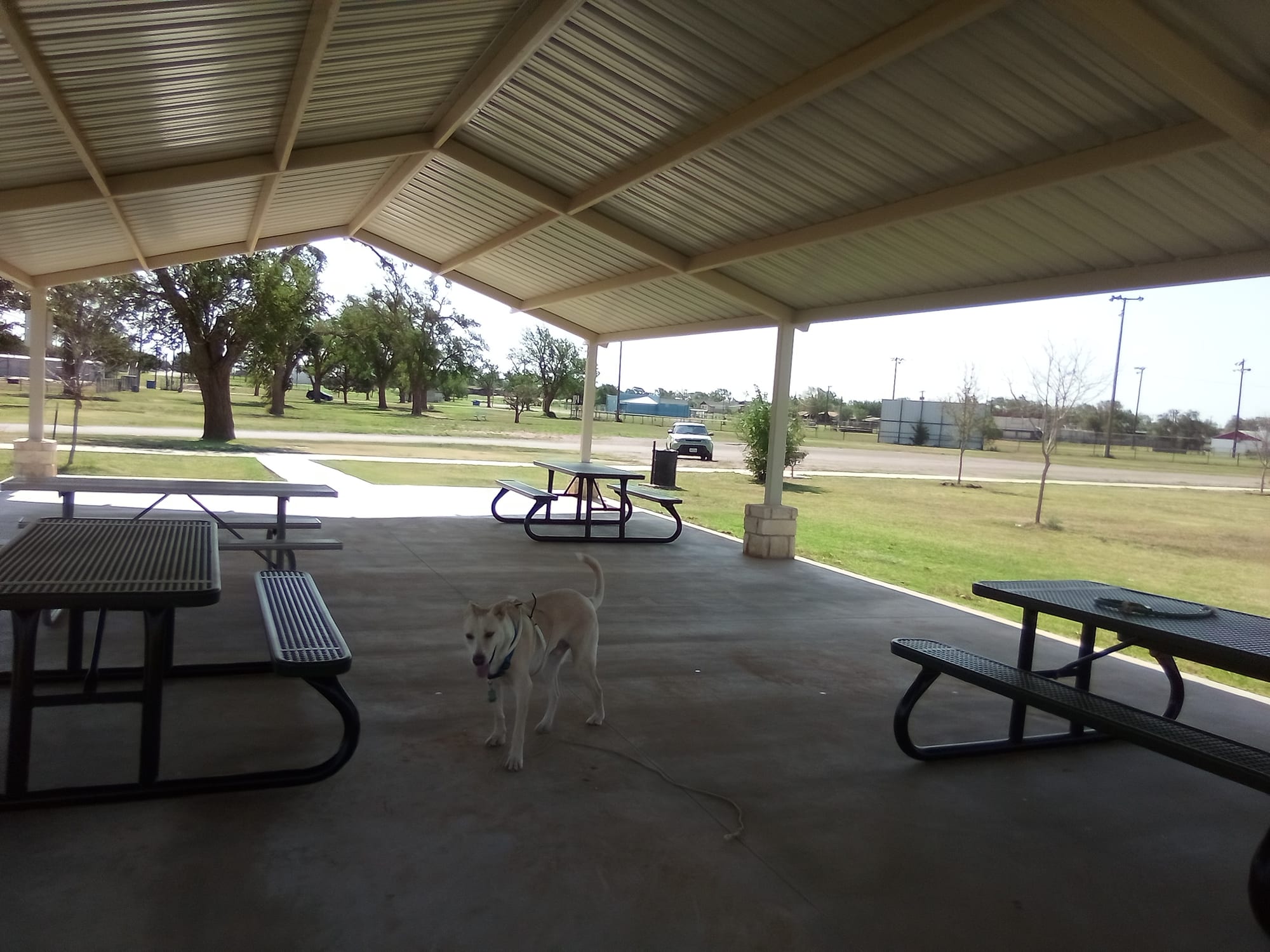 Contexto · Levelland (Texas), donde el objeto detuvo los motores de varios vehículos