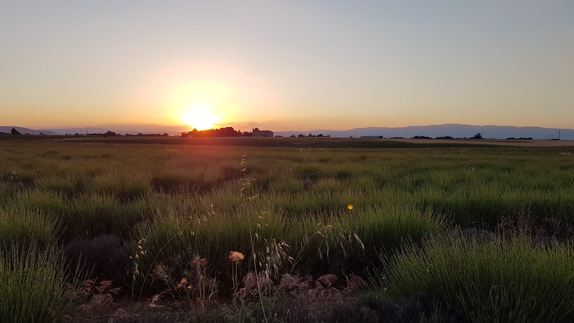 Contexto · Valensole (Provenza), donde Maurice Masse vio aterrizar el objeto